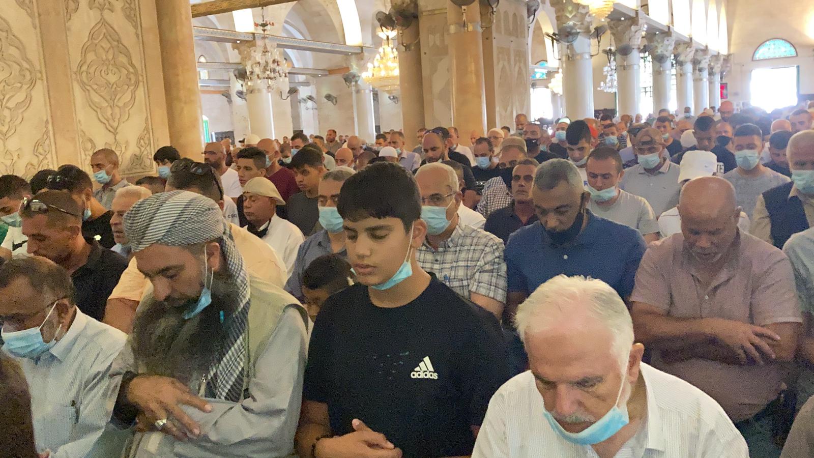 WhatsApp Image 2020-08-26 at 1.18.19 PM (1).jpeg.jpeg